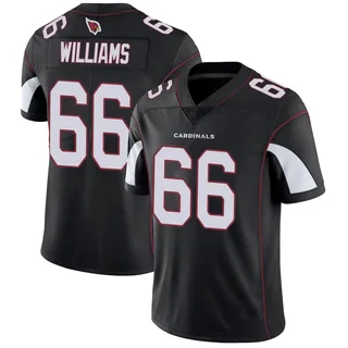 Jayden Williams Arizona Cardinals Youth Limited Vapor Untouchable Nike Jersey - Black